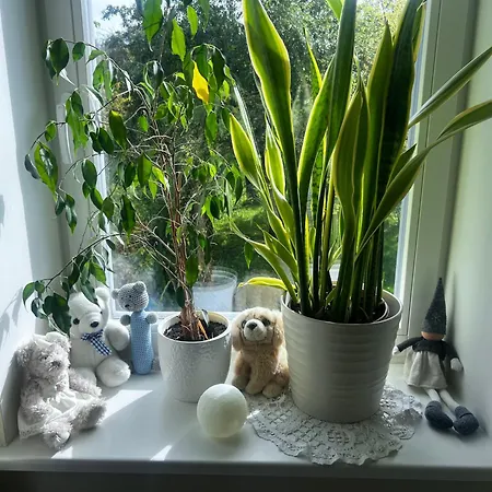 3br Family With Huge Garden&free Parking בית נופש טאלין